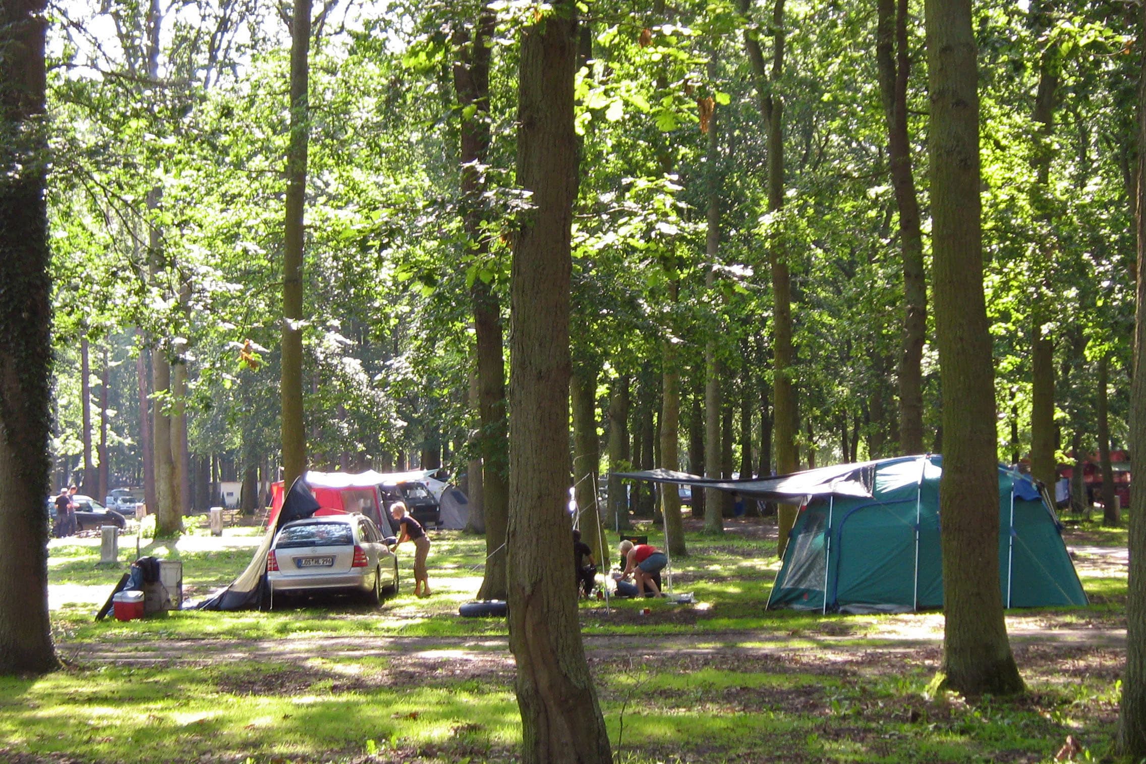 Camp. & Ferienpark Markgrafenheide – sfeerbeeld 2