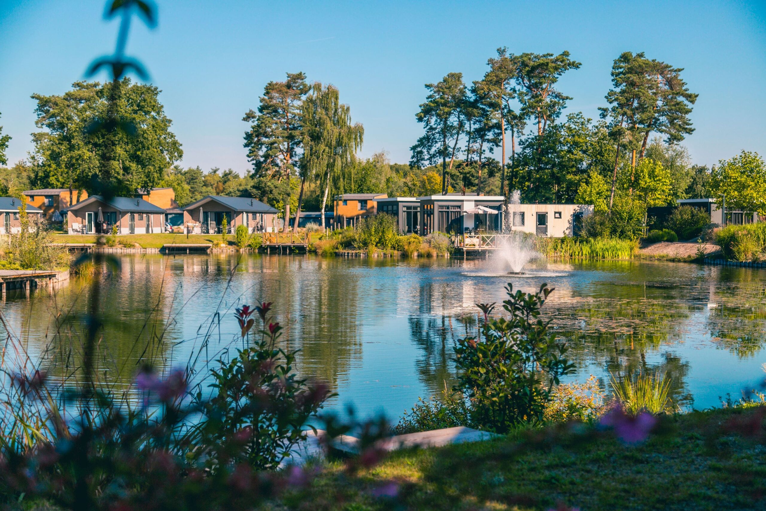 Foto van EuroParcs Zilverstrand